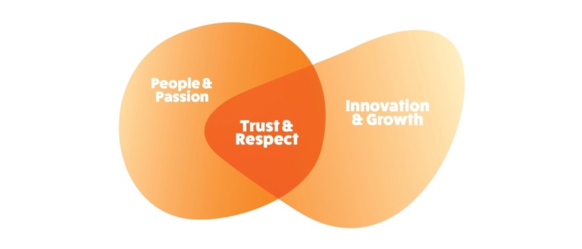 LSA Values and Shapes LSA Values and Shapes