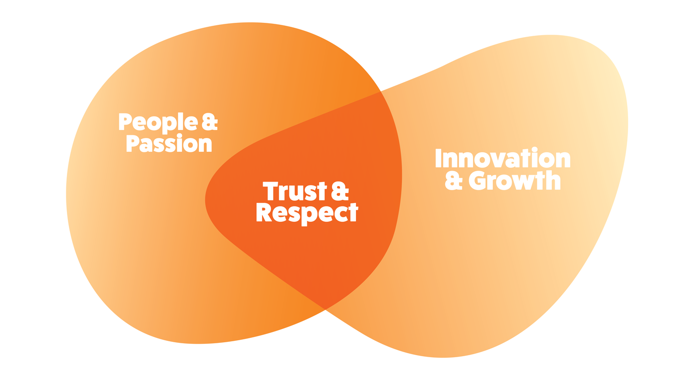 Values Graphic: People and passion, Trust and respect, Innovation and growth